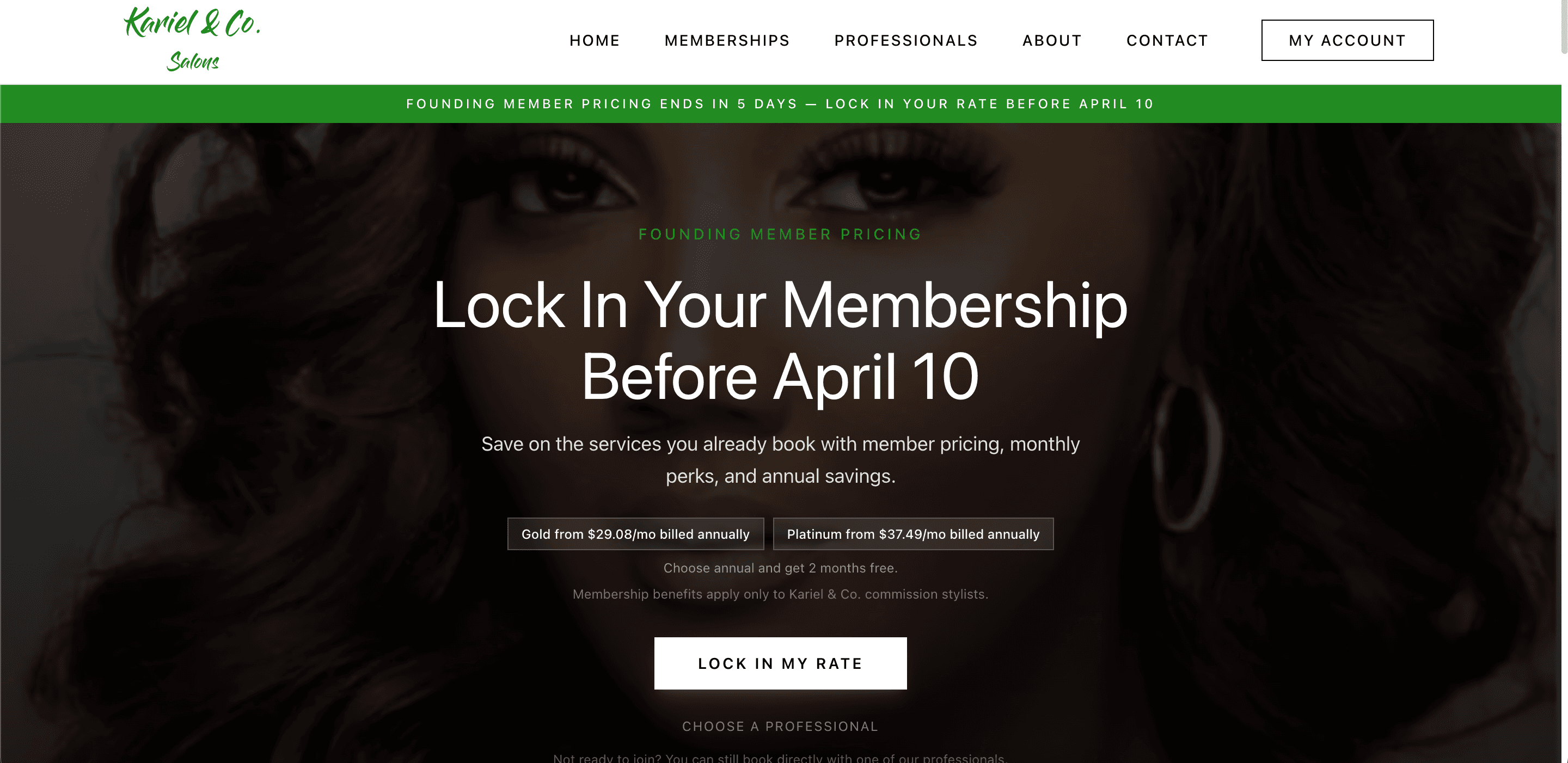 Kariel & Co. Salons homepage